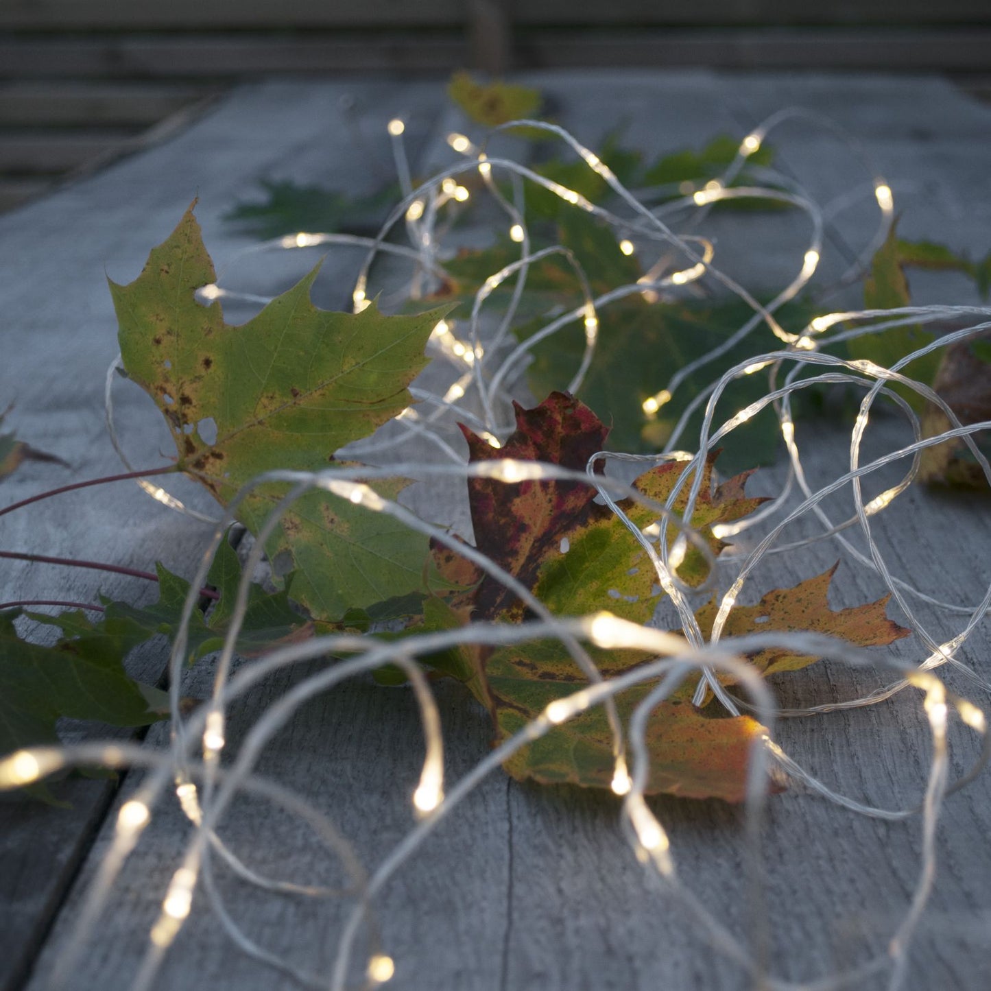 ljusslinga-dew-drop-outdoor-456-41