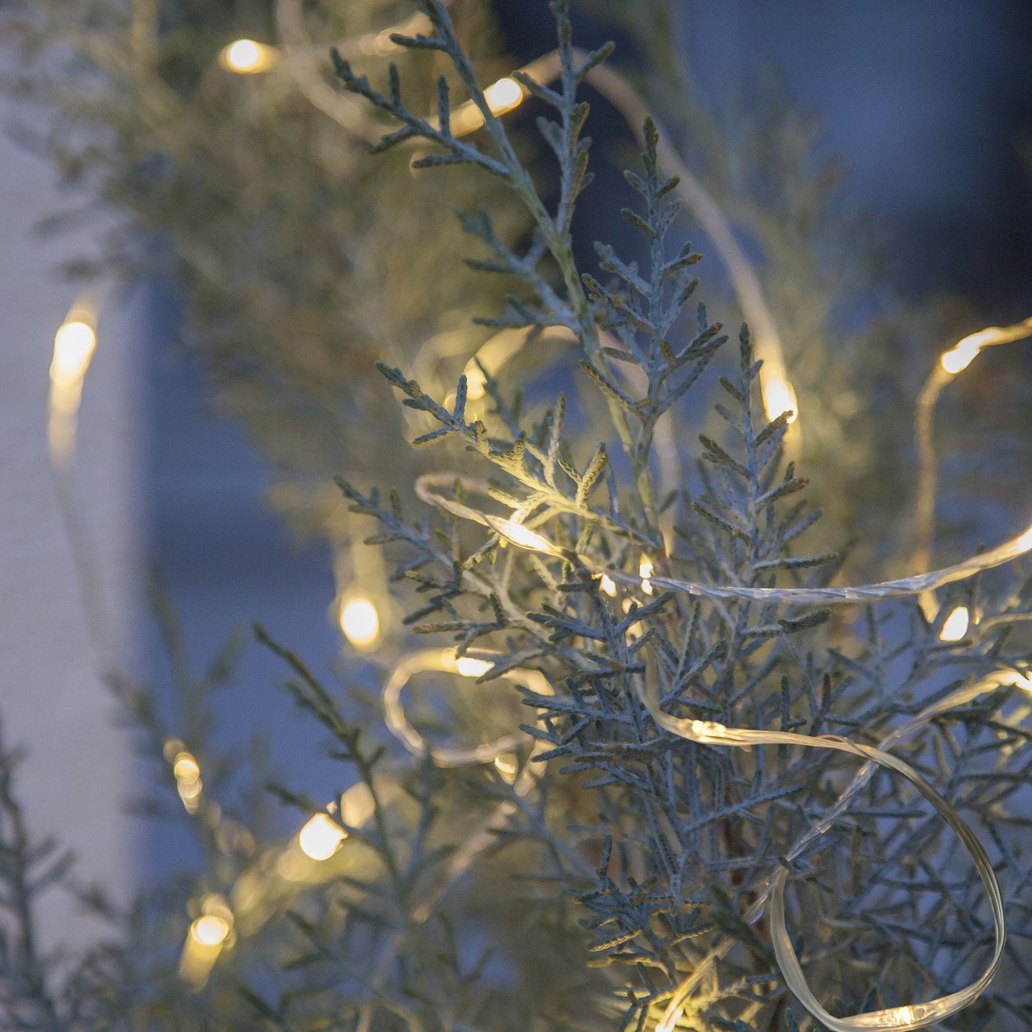ljusslinga-dew-drop-outdoor-456-41