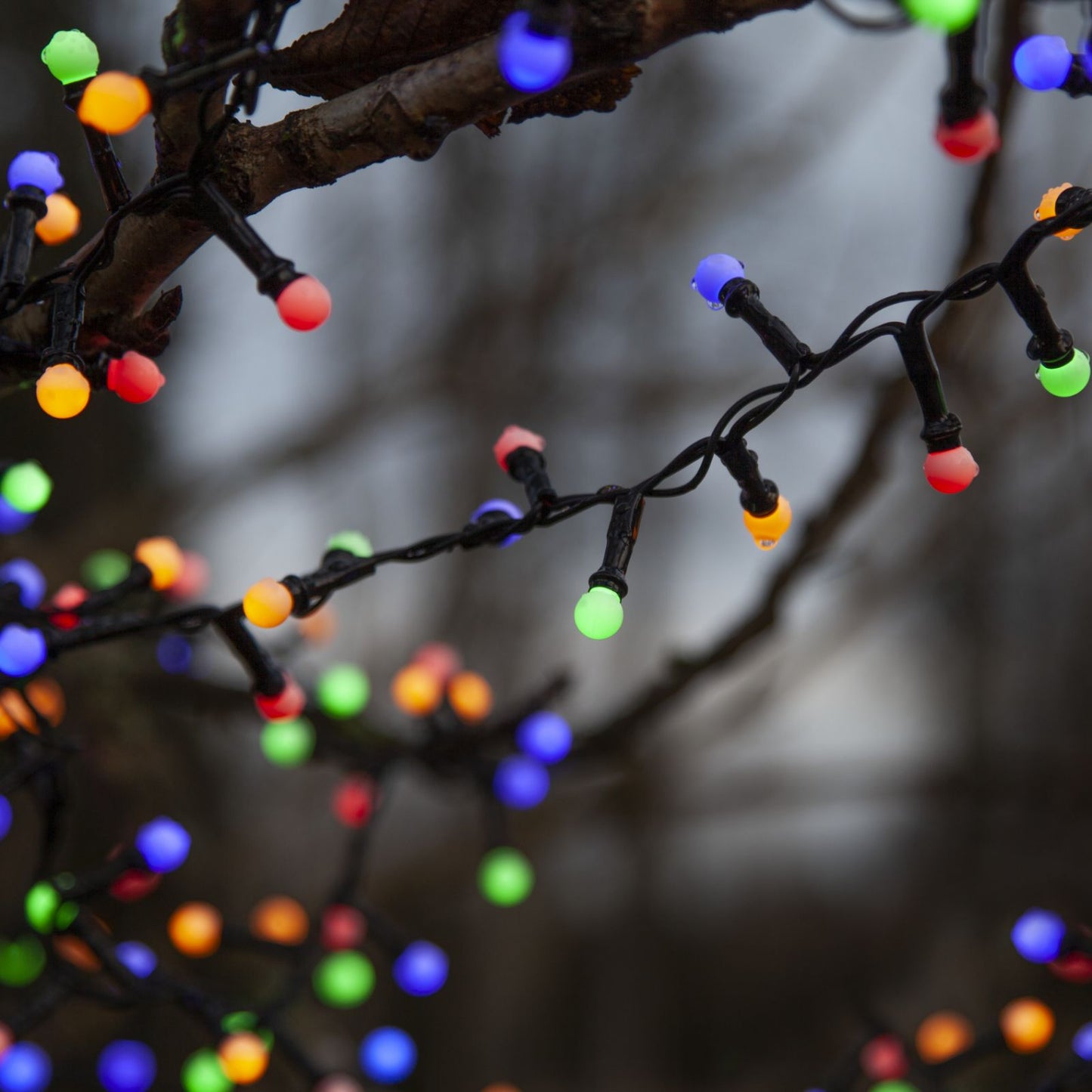 ljusslinga-berry-mini-472-51