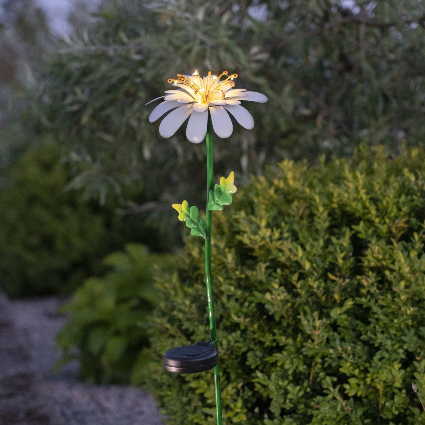 solcellsdekoration-daisy-482-23