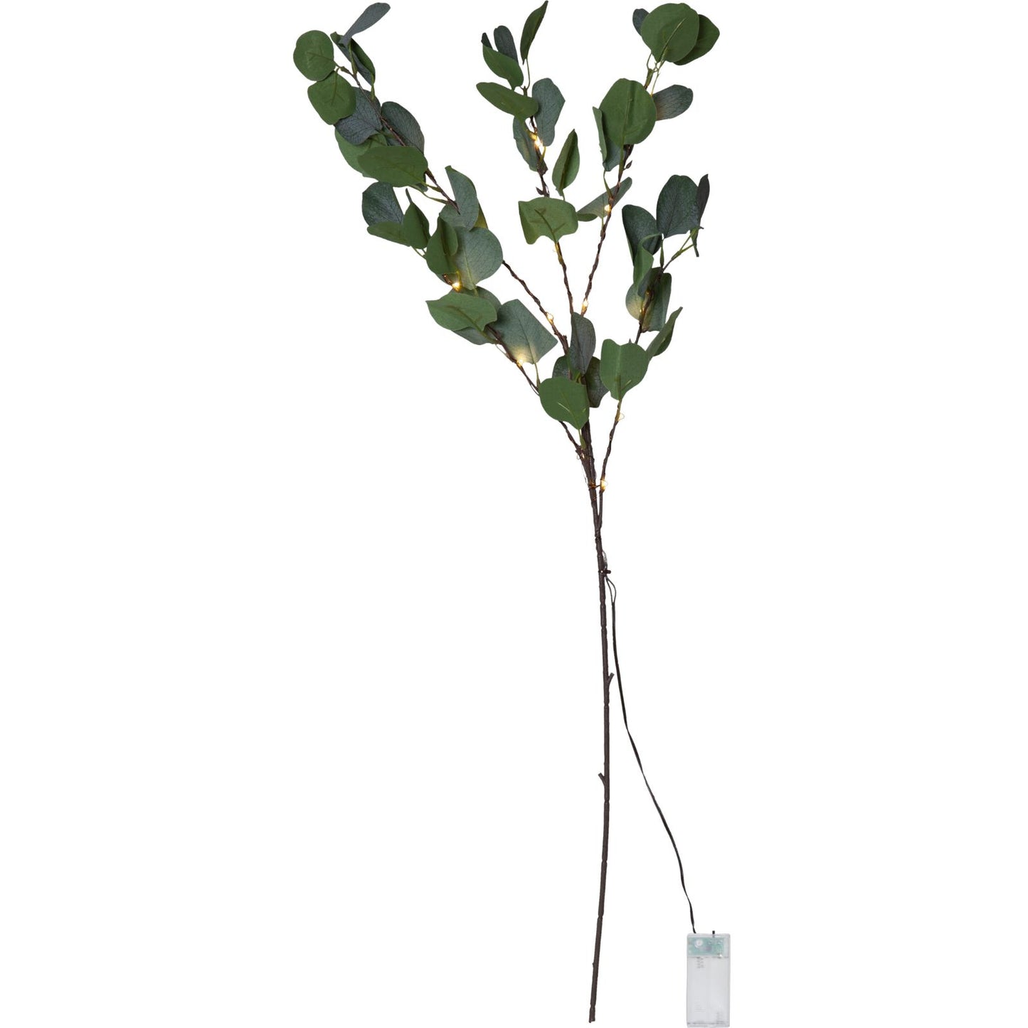 dekorationskvist-eucalyptus-581-31