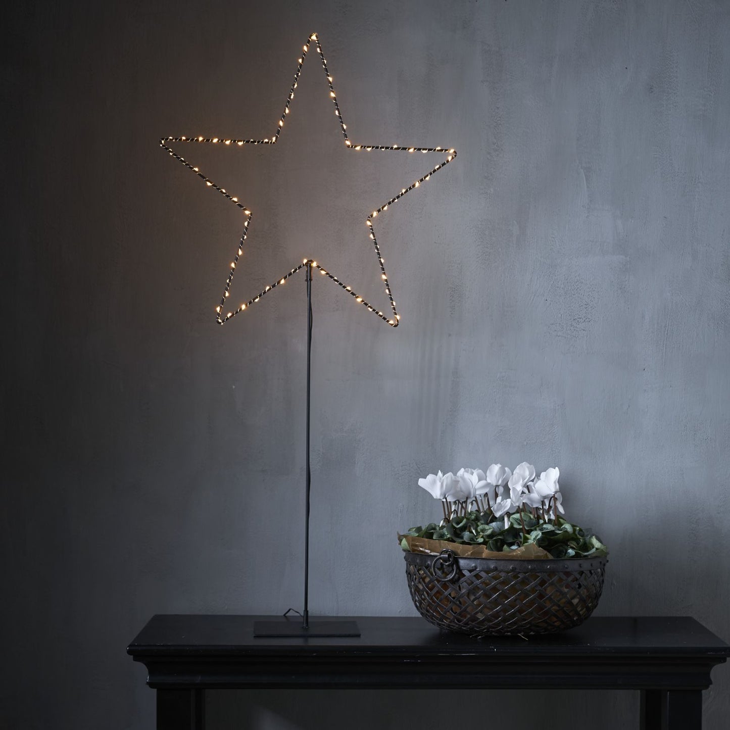 stjarna-pa-fot-mira-700-43-2