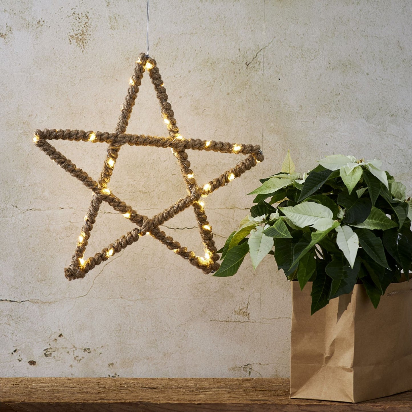 stjarna-jutta-729-22