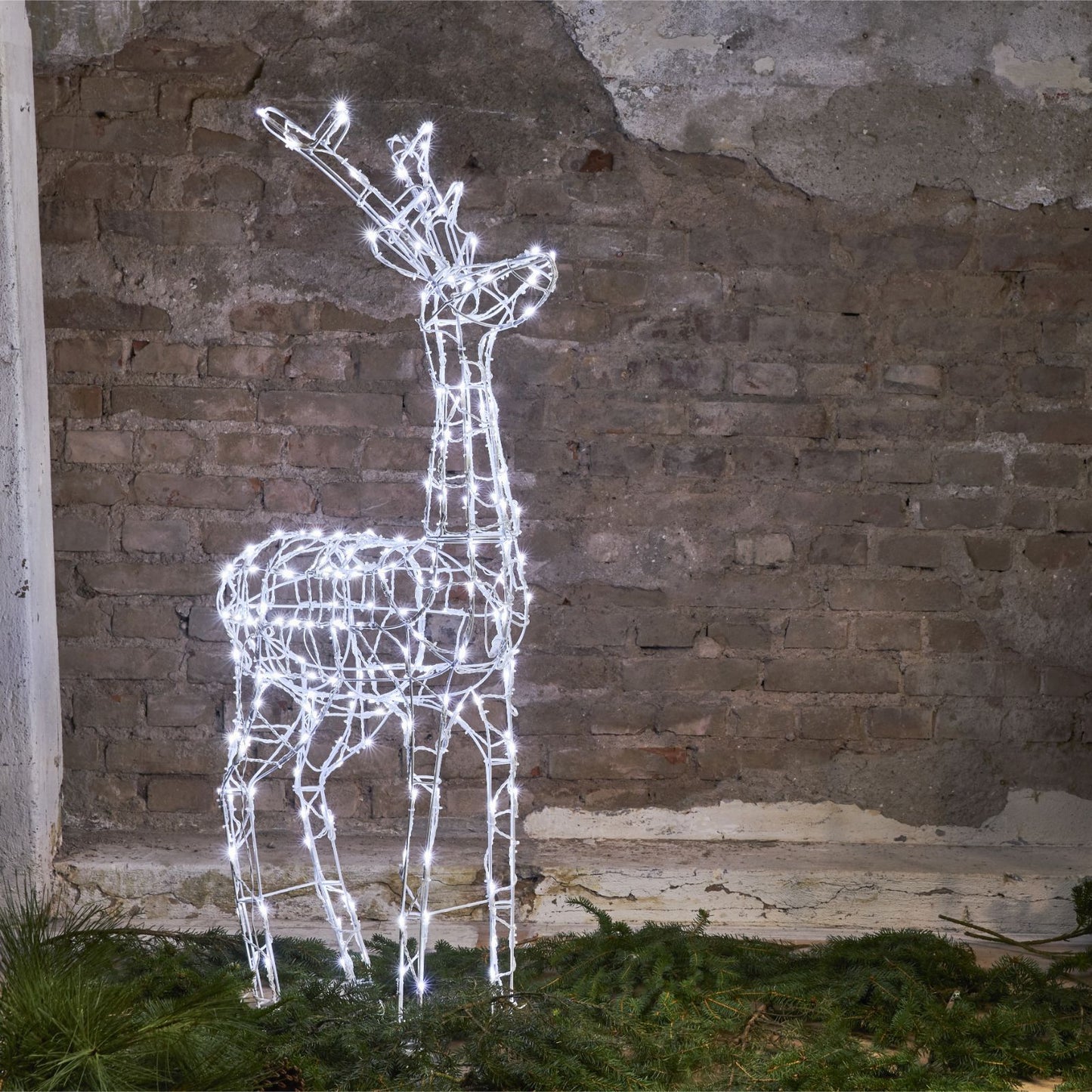 siluett-pegasus-803-67