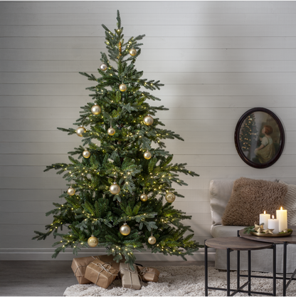 Star Trading - Julgran med LED Brekstad - 210cm - 800st ljusskällor