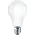 Philips - LED classic 150W A67 E27 WW FR NDRFSRT4