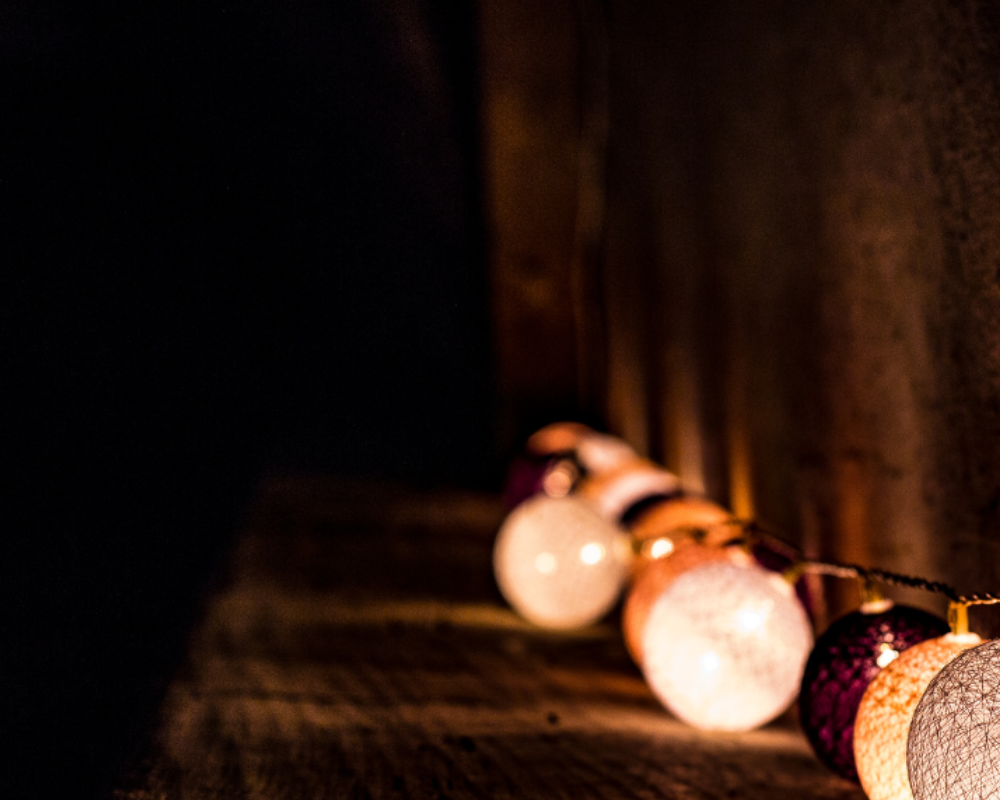 LEDKUNGENS FAVORITER